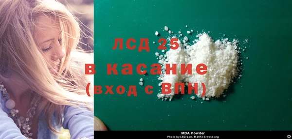 ГАЛЛЮЦИНОГЕННЫЕ ГРИБЫ Горно-Алтайск