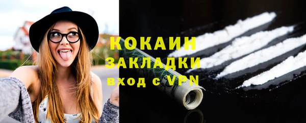 ГАЛЛЮЦИНОГЕННЫЕ ГРИБЫ Горно-Алтайск