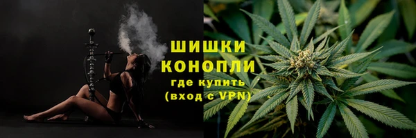 ГАЛЛЮЦИНОГЕННЫЕ ГРИБЫ Горно-Алтайск