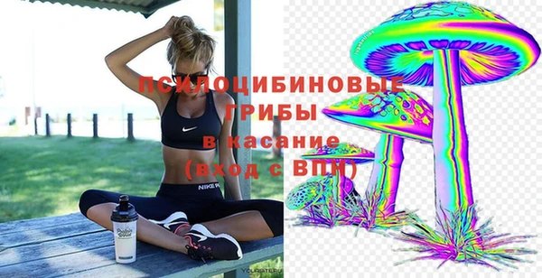 ГАЛЛЮЦИНОГЕННЫЕ ГРИБЫ Горно-Алтайск