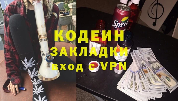 ГАЛЛЮЦИНОГЕННЫЕ ГРИБЫ Горно-Алтайск
