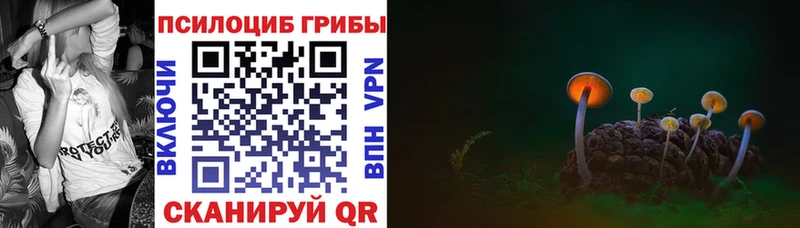 Псилоцибиновые грибы Cubensis  Купить где  Кодинск 